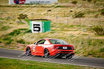 media/Feb-25-2024-Speed Ventures (Sun) [[b9a2a97a4d]]/Mustang Drivers Club/Session 1 (Turns 4 and 5)/